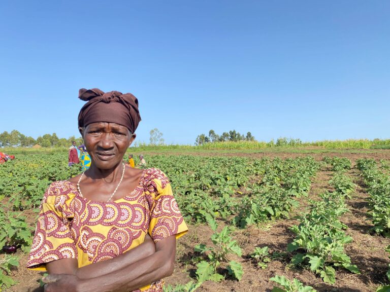 DRC continues to be one of the world's largest food crises. ©FAO