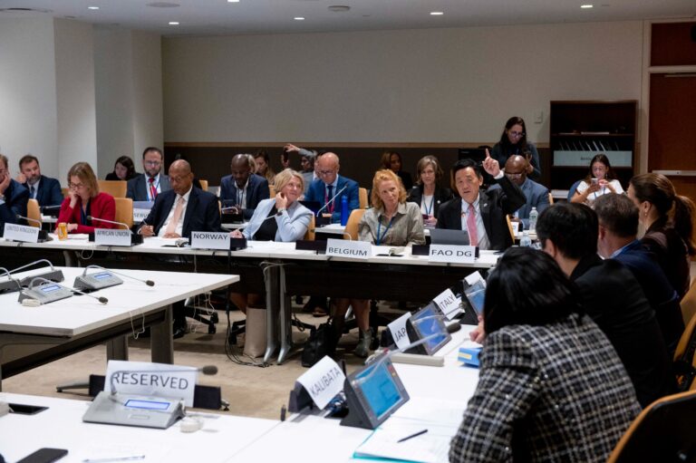 FAO Director-General QU Dongyu speaks during the Catalyzing global action for agrifood systems transformations to accelerate the SDG’s in New York City, NY, USA. ©FAO/Roberto Schmidt