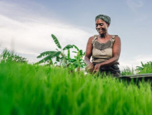 African Adaptation Initiative (AAI) Project