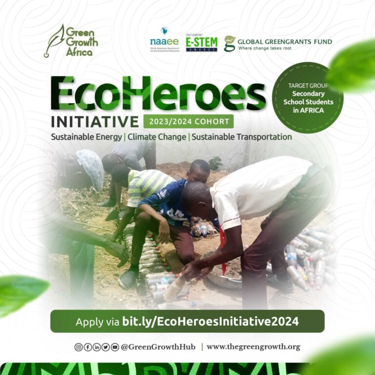 EcoHeroes Initiative 2023/2024 Africa Cohort