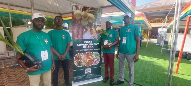 Food Advancement Ghana making youth in agriculture an admirable venture