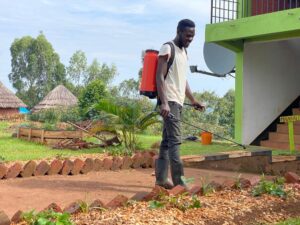Because Accelerator program for entrepreneurs