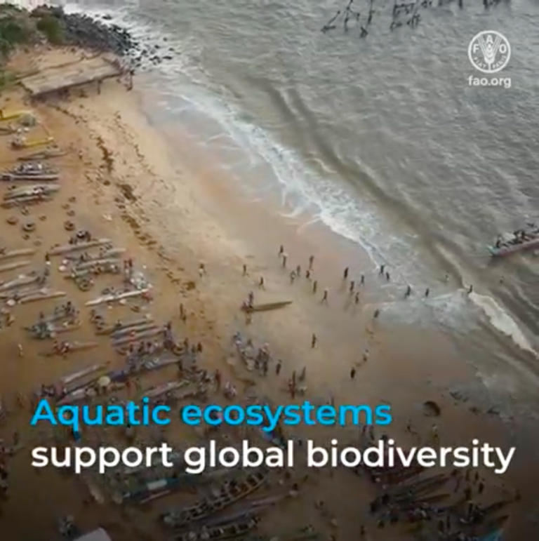 Climate action for fisheries and aquaculture