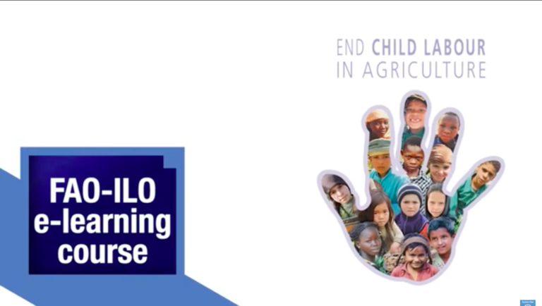 FAO-ILO e-learning course End Child labour in Agriculture