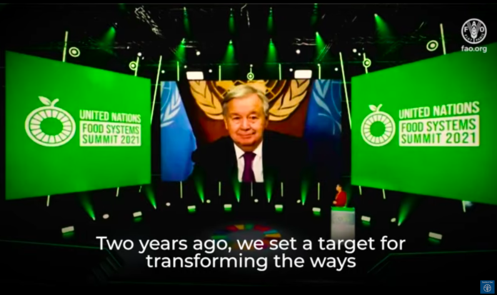 Transform our food systems for a sustainable world without hunger