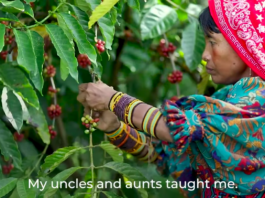 Coffee Farmers in Panama