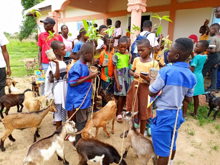 Pro-poor project dubbed ‘Buy me a goat’ begins in Builsa North