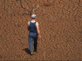 Soils and water influence climate through their role in carbon storage, greenhouse gas emissions, the water cycle, and land-use changes. ©© FAO/Aris Mihich