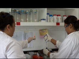 Experts test water samples for contamination to ensure all fishing and fisheries-related areas comply with Codex standards in terms of contaminants in water and fish, in Rarotonga, Cook Islands. ©FAO/Sue Price