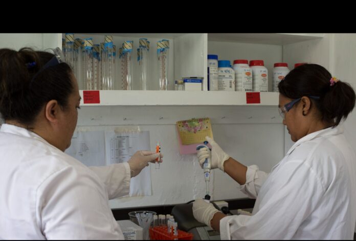 Experts test water samples for contamination to ensure all fishing and fisheries-related areas comply with Codex standards in terms of contaminants in water and fish, in Rarotonga, Cook Islands. ©FAO/Sue Price