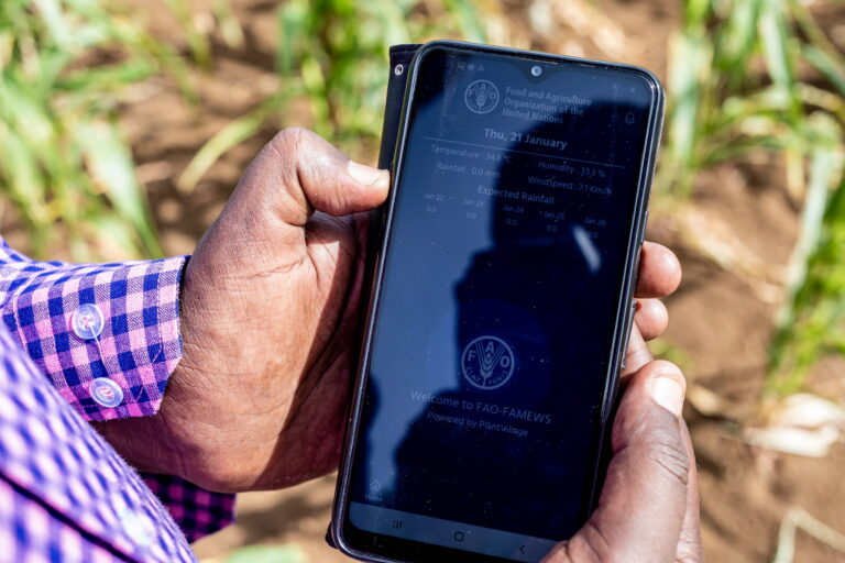 ©FAO/Arete/Ismail Taxta