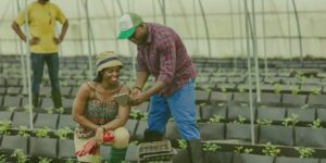 AgriBiz Sprint Program for Ghanaian owned Agri-MSMEs and FBOs
