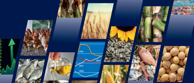 FAO Food Outlook ©FAO