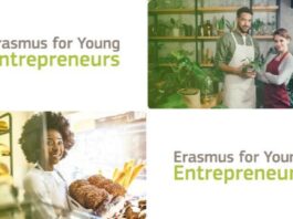 Erasmus for Young Entrepreneurs
