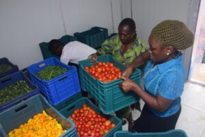 The Imperative for Decentralized Cold Storage Infrastructure in Africa  