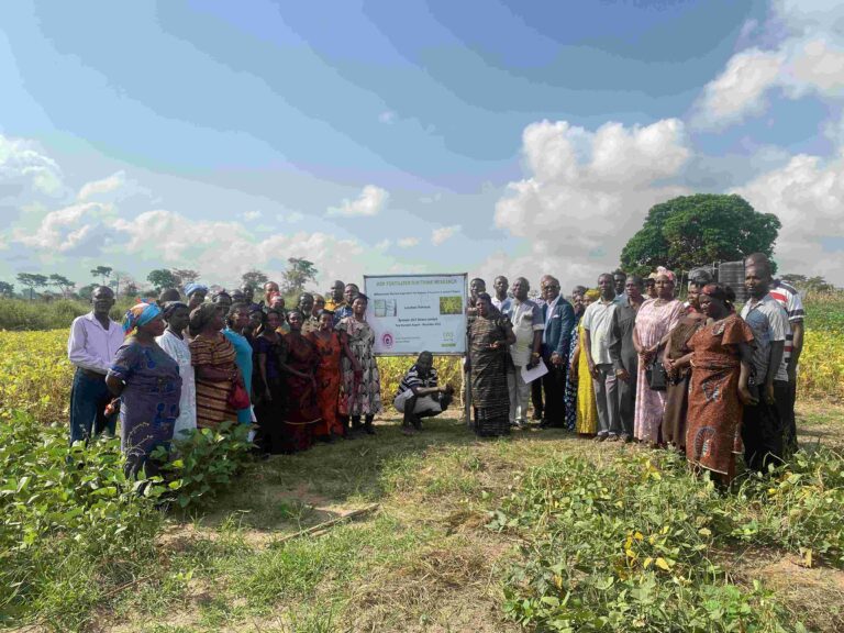 CSIR, OCP Ghana unveil fertilizer for maize and soybean production