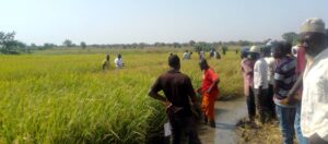 Officials and farmers on the field