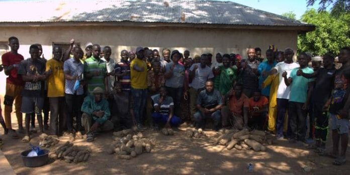 A photo of farmers with the improved yam variety A photo of farmers with the improved yam variety