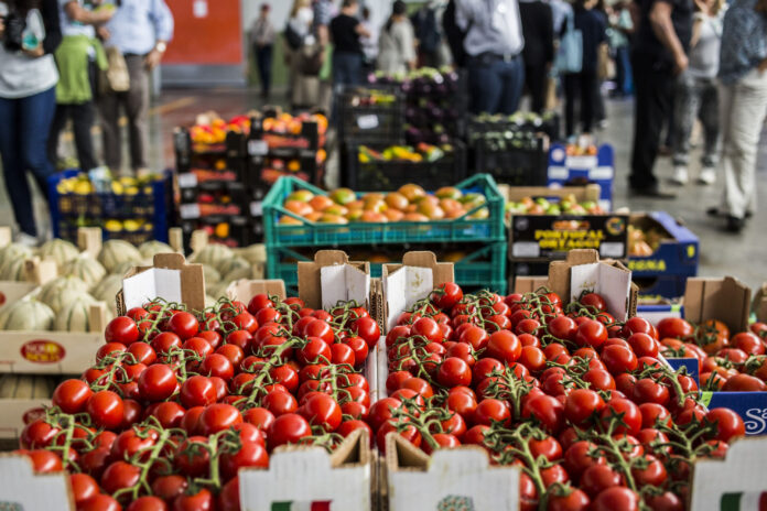 The FSCI indicator framework is intended for global monitoring of agriculture and food systems transformation. ©Alessandra Benedetti