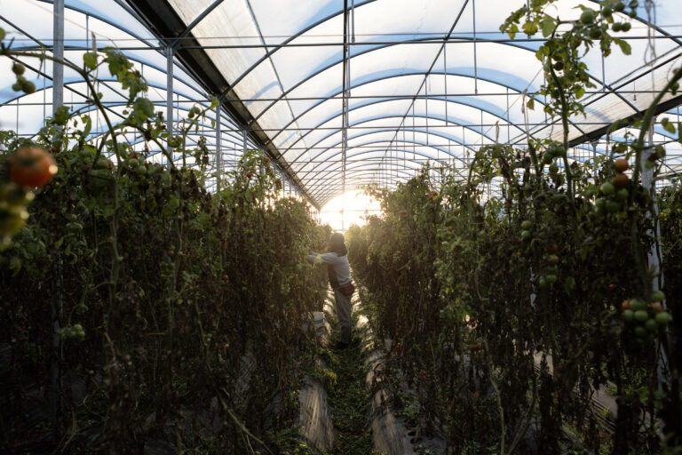 The process, launched as a concrete package of solutions, will undergo extensive fine-tuning and elaboration over the next three years. ©FAO/Alessandro Penso