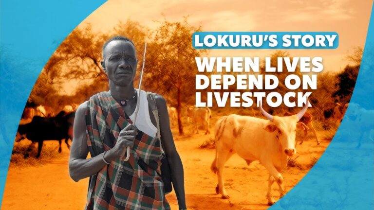 When lives depend on livestock