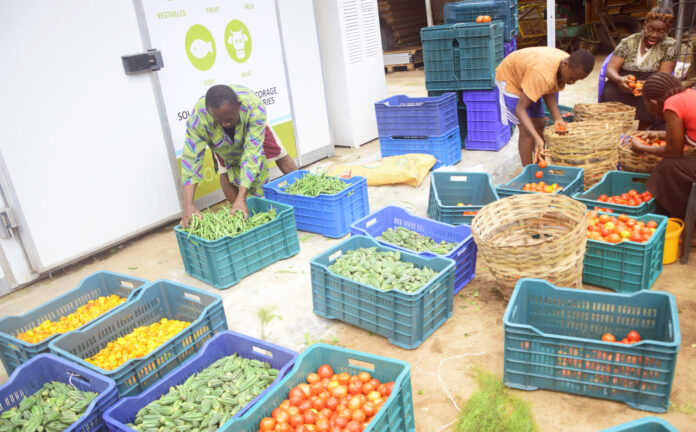 The Imperative for Decentralized Cold Storage Infrastructure in Africa