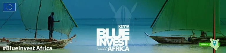 Pitchers at BlueInvest Africa 2024