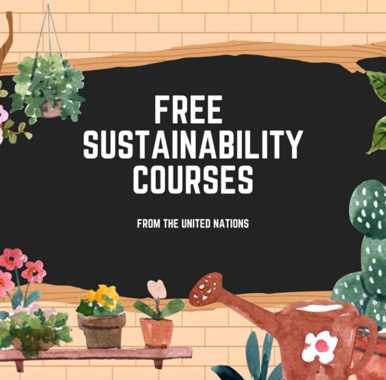 Free Sustainability Course By United Nations