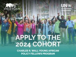 Charles R. Wall Young African Policy Fellows