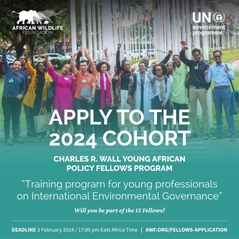 Charles R. Wall Young African Policy Fellows
