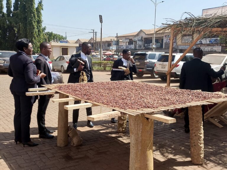 COCOBOD promotes educational aspect of cocoa farming among youth