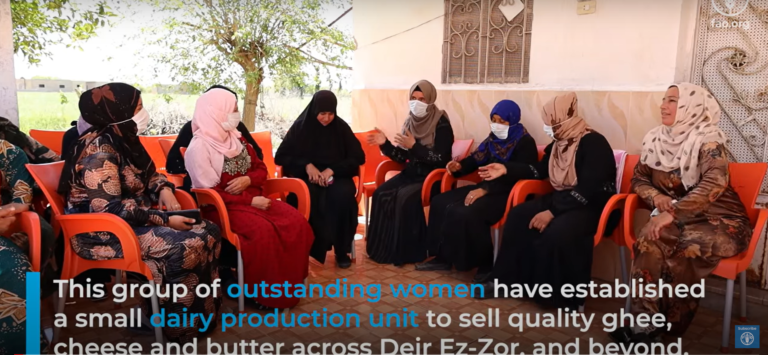 Women lead dairy production in Deir Ez-Zor