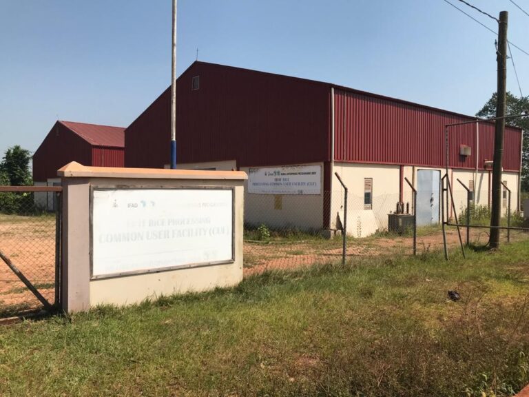 GHS 6.7m Akontombra rice factory not operational after two years of commissioning