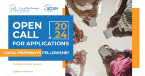 UN SDSN Youth Local Pathways Fellowship (LPF) Program 2024