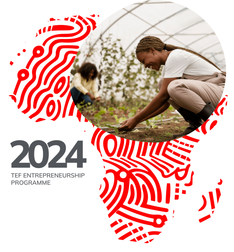 Tony Elumelu Foundation Entrepreneurship Grant Programme
