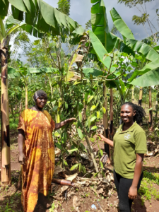 Common Fund for Commodities (CFC) Impact Finance  for SMEs in the Commodity Sector