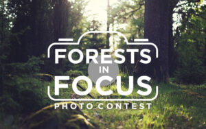 Forests in Focus
Photo Contest