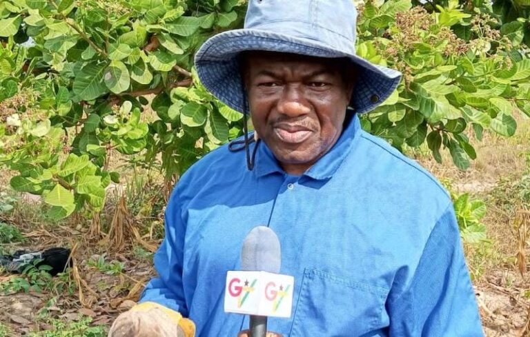 CEO of Bui Power Authority urges government to provide fire insurance for large scale farms