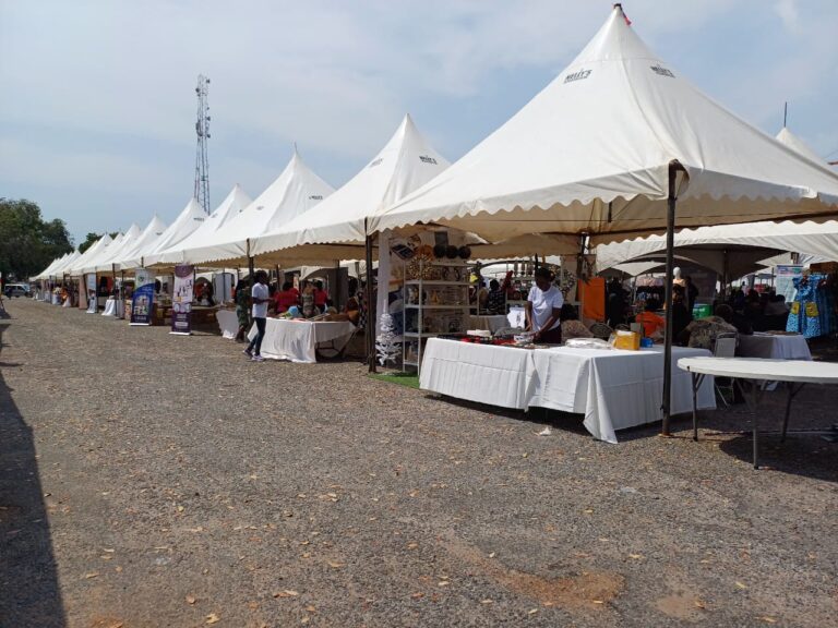 Oxford Africa Women Leadership Institute (OAWLI),