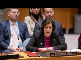 FAO Deputy Director-General Beth Bechdol delivers remarks at the United Nations Security Council High-Level Open Debate. ©UN Photo/Manuel Elías