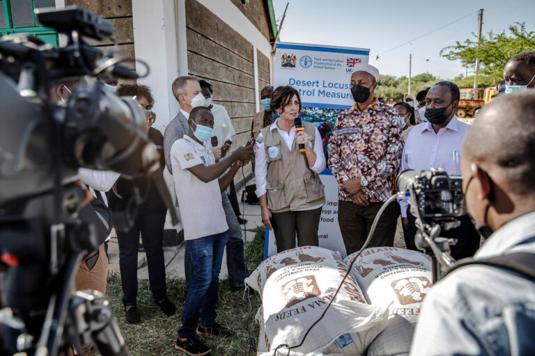 Deputy Director-General Beth Bechdol oversees FAO's work on emergencies. ©FAO/Marco Longari