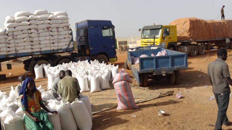 Maize glut in Tumu