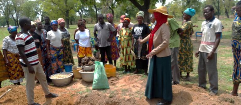 CSIR-SARI trains Bambara groundnut farmers to boost yield 