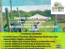 Grow West Africa -Work, Learn and Earn Program (WLEP)
