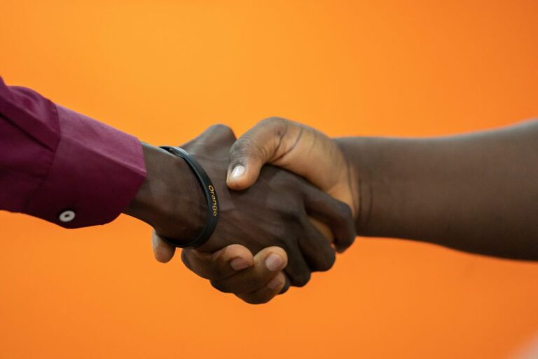 The Orange Social Venture Prize in Africa and the Middle East