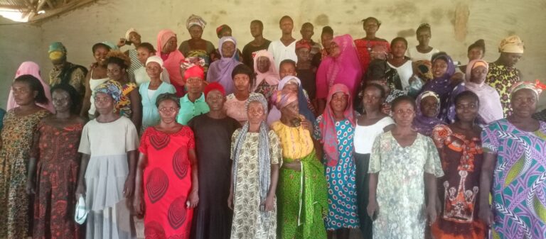 Women Farmers in Fosukrom appeal for irrigation, storage facilities  