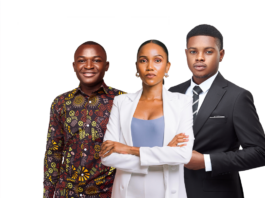 AU Digital and Innovation Fellowship
