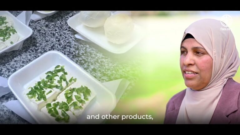 FAYDIAH, Success story feature