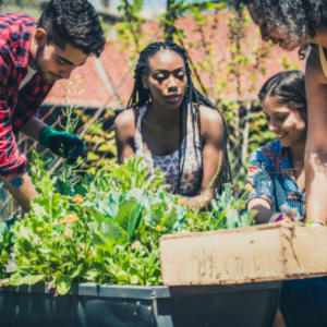 Young African Climate Changemakers Challenge 