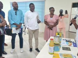 Export-ready SMEs to benefit from CBI’s Ghana Dried Fruits Project